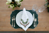 Palmerie Napkin (Fall)