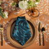 Sylvan Napkin