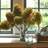 Half Past Seven x Maison Venu Fern Lettuce Leaf Vase